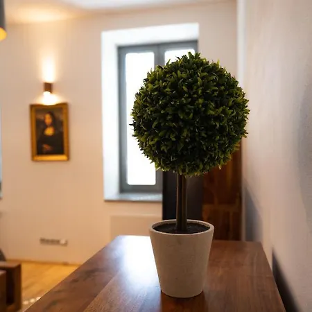 Black Field Apartment Brno