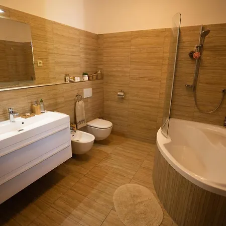 Apartament Black Field Brno